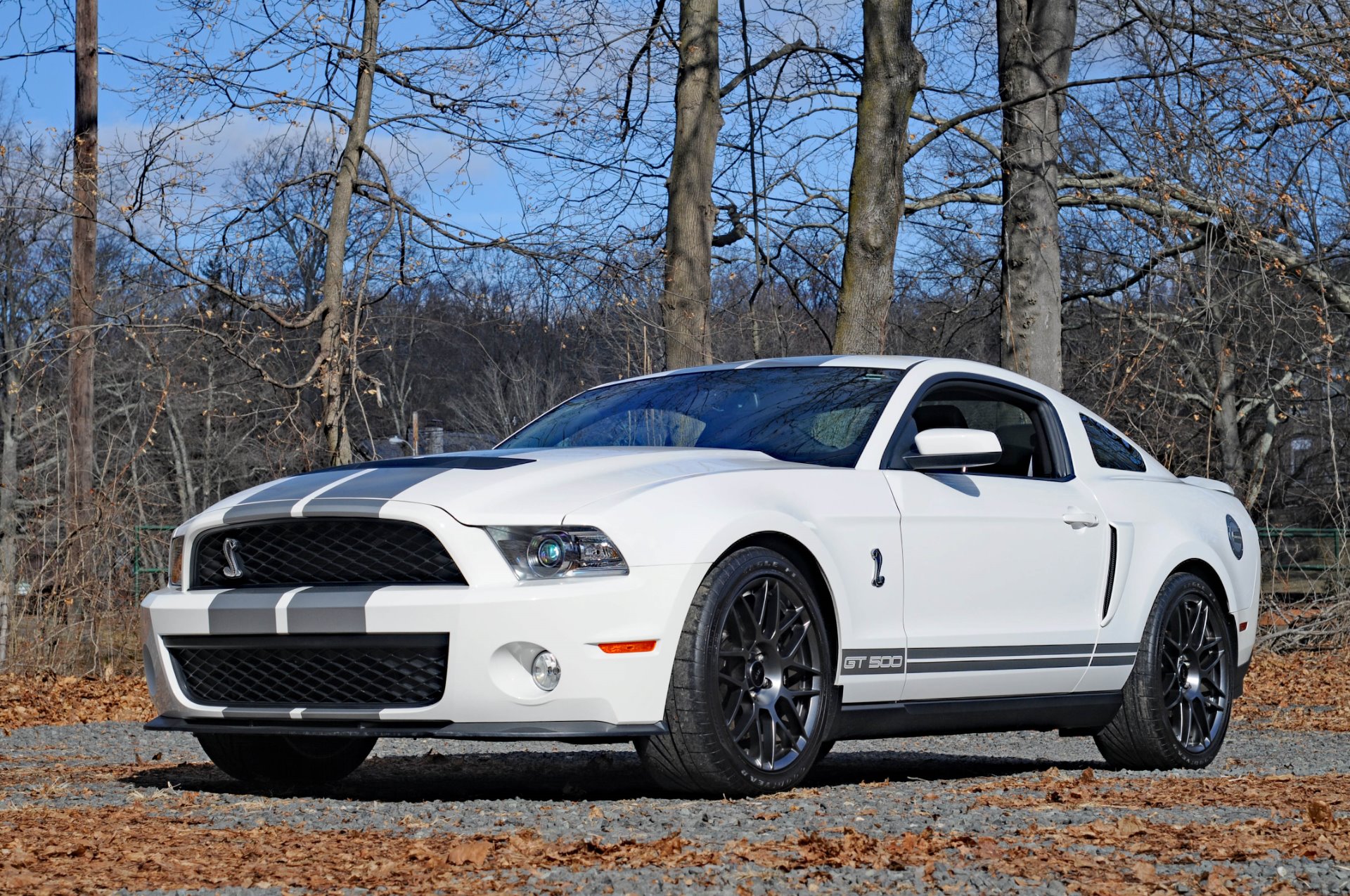 Ford Shelby gt500 White